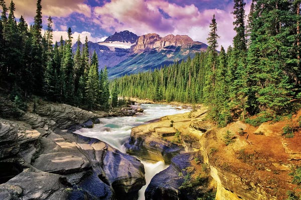 Evergreen Trees: Mountain Stream by Dennis Frates