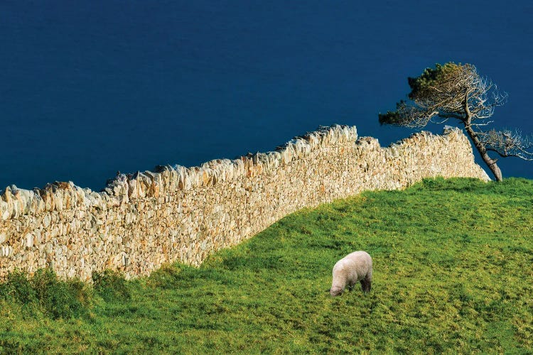 Rock Wall And Sheep by Dennis Frates wall art