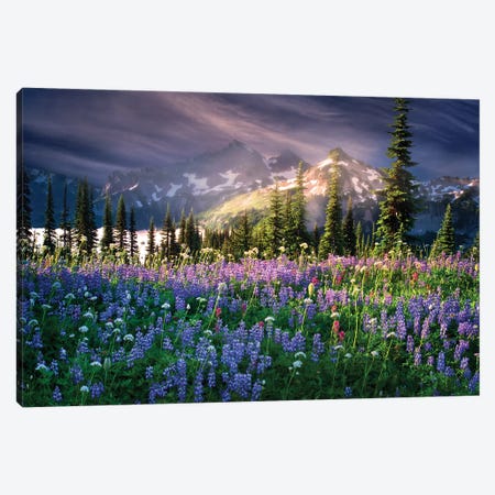 Mountain Wildflowers Canvas Print #DEN221} by Dennis Frates Canvas Wall Art