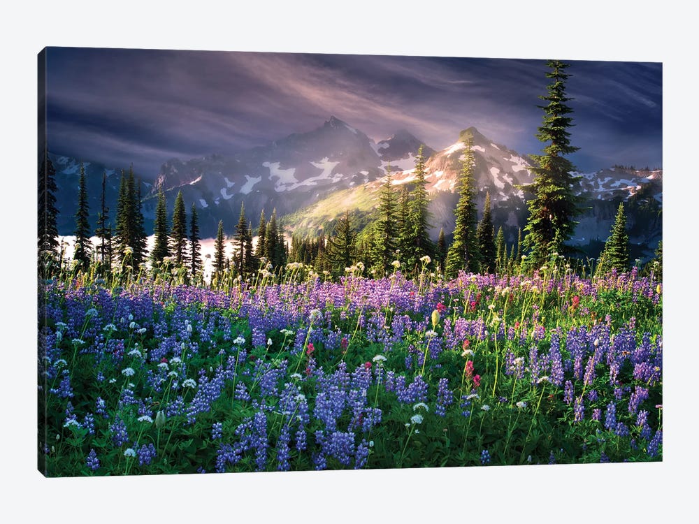 Mountain Wildflowers by Dennis Frates 1-piece Canvas Art
