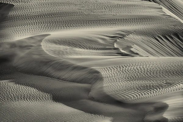 Oregon: Oregon Coastal Dunes by Dennis Frates