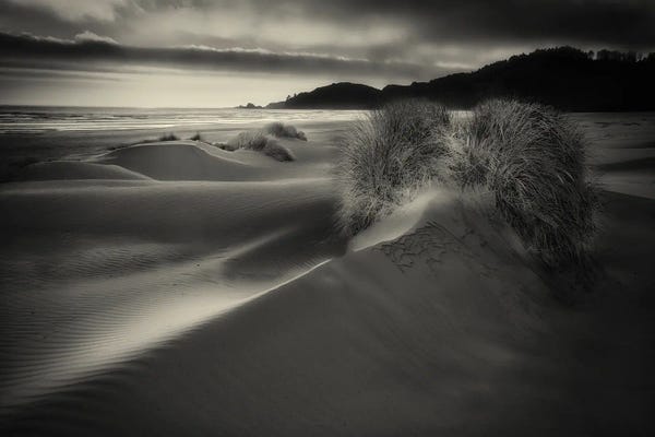 Oregon: Oregon Coastal Dunes II by Dennis Frates