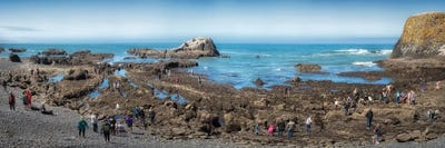 Low Tide Tourists by Dennis Frates framed canvas print