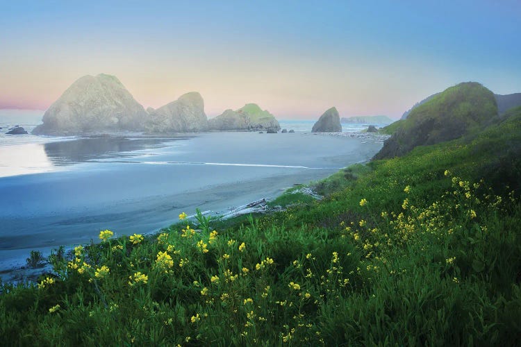 Tranquil Sunrise by Dennis Frates wall art
