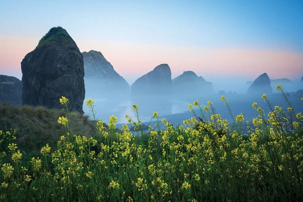 Nature Lover: Tranquil Morning by Dennis Frates