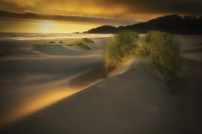 Coastal Sunset Dune by Dennis Frates metal wall art