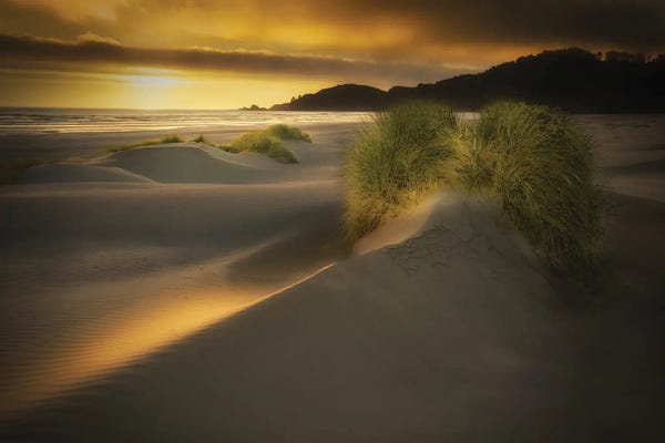 Coastal Sand Dunes: Coastal Sunset Dune by Dennis Frates