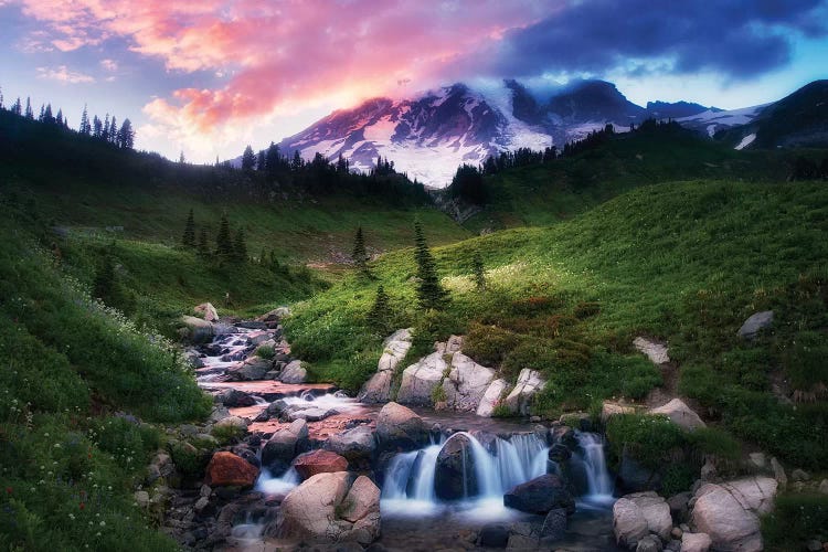 Mt. Rainier Sunset