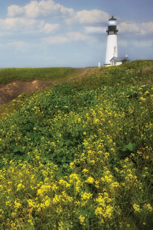 Floral Lighthouse II by Dennis Frates wall art