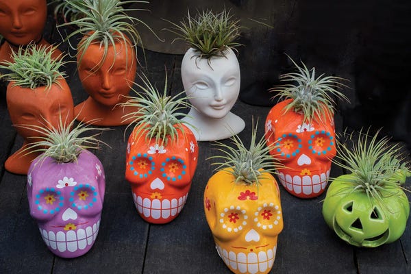Dennis Frates: Halloween Skulls by Dennis Frates