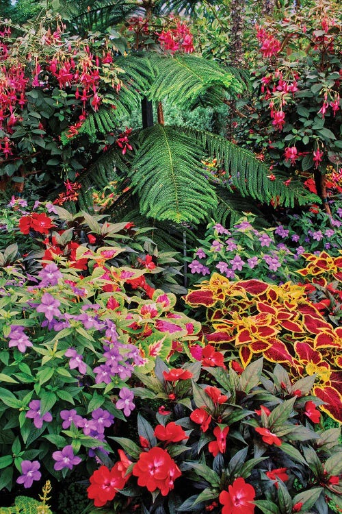 Arrangment by Dennis Frates wall art
