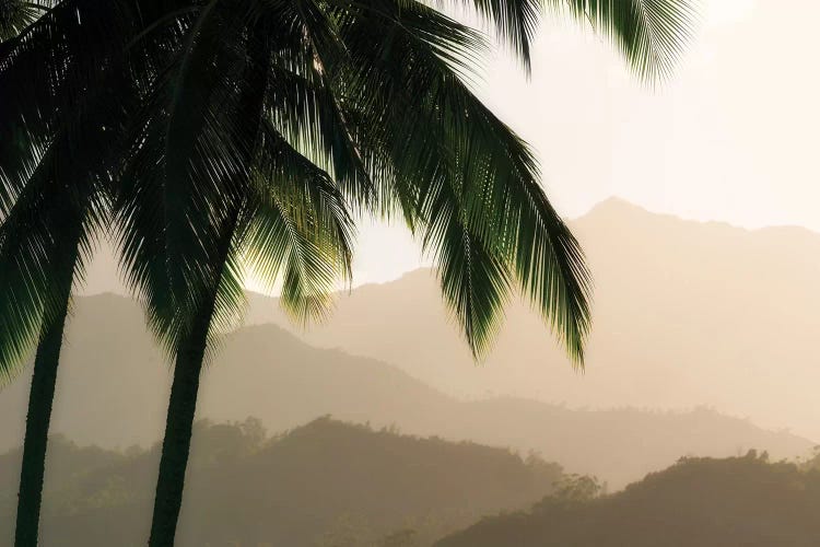 Palm Hills by Dennis Frates wall art