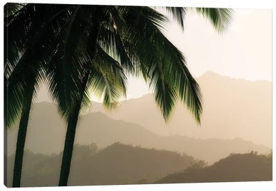 Palm Hills Canvas Art Print - Tropical Leaf Art