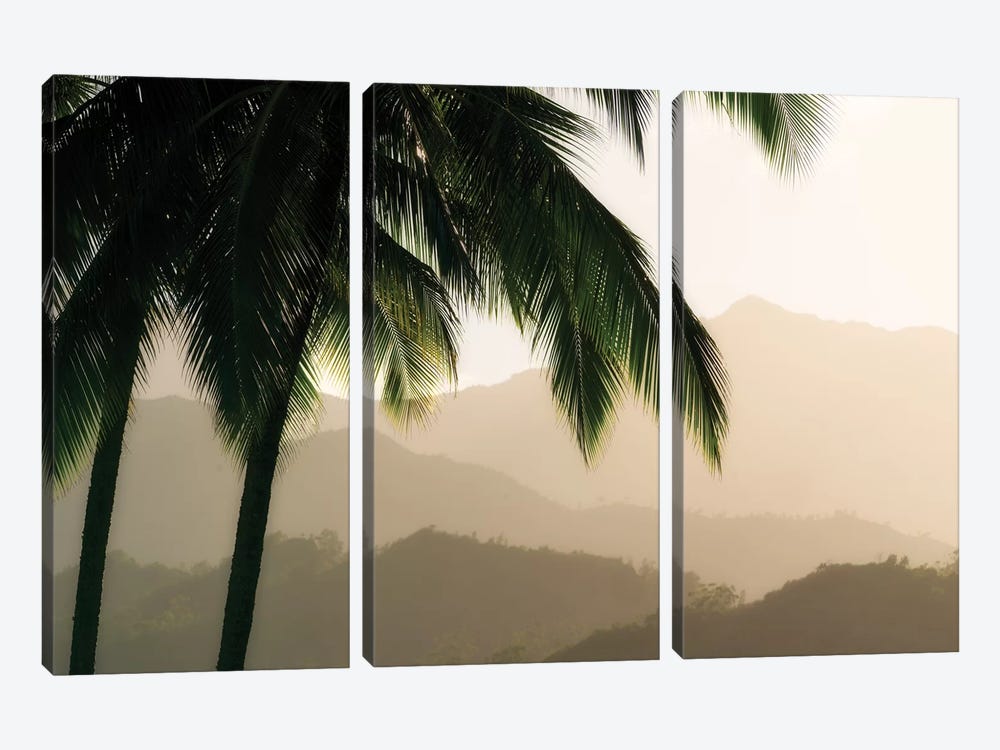 Palm Hills by Dennis Frates 3-piece Canvas Print