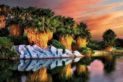 Palm Reflection by Dennis Frates canvas print