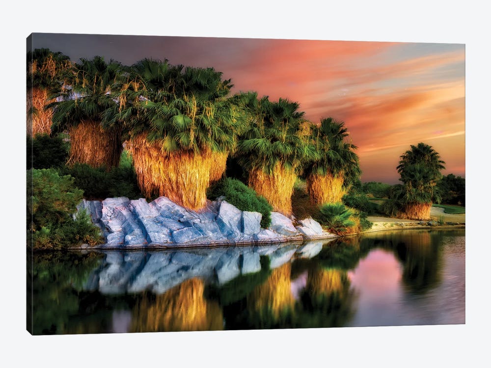Palm Reflection by Dennis Frates 1-piece Canvas Wall Art