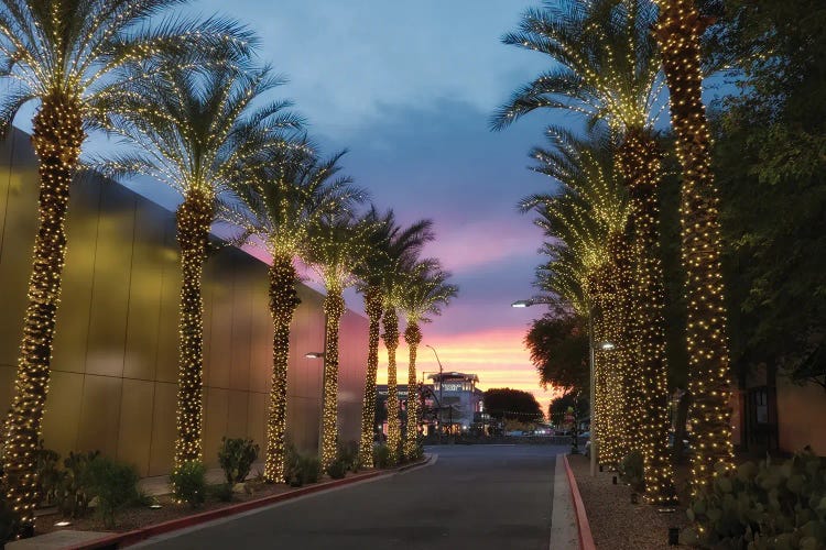 Phoenix Christmas I by Dennis Frates wall art
