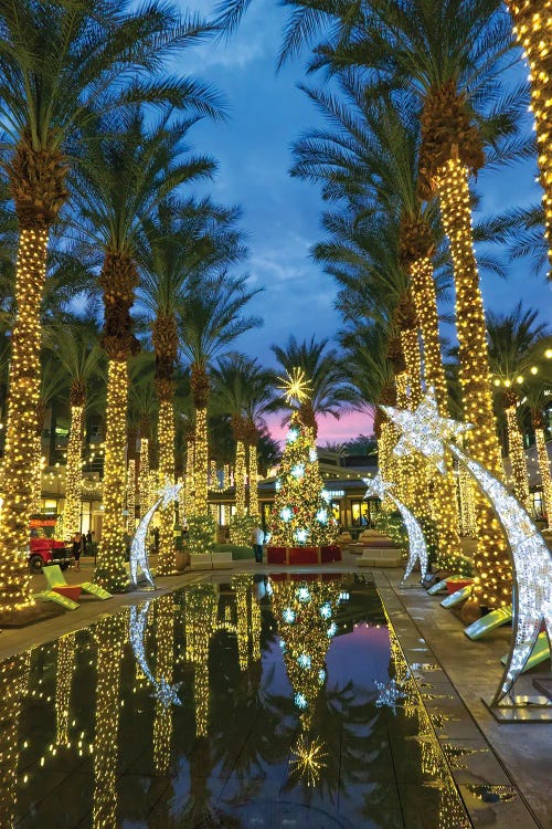 Phoenix Christmas II by Dennis Frates wall art