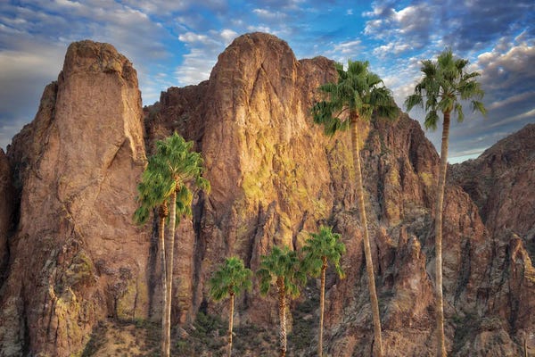 Fine Art Print: Desert Oasis by Dennis Frates