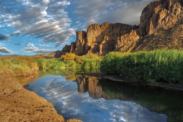 Ponds: Desert Oasis II by Dennis Frates