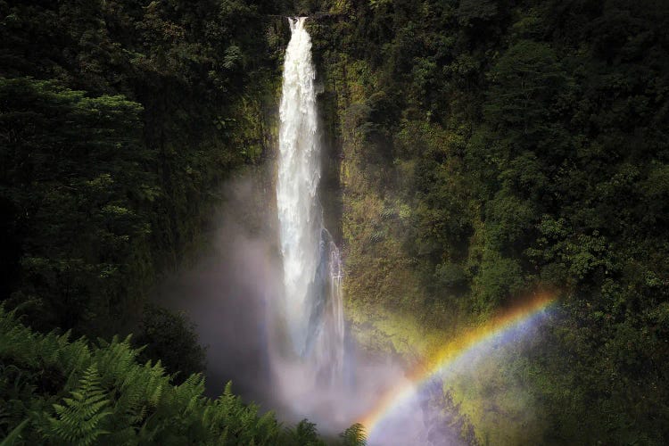 Rainbow Falls V by Dennis Frates wall art