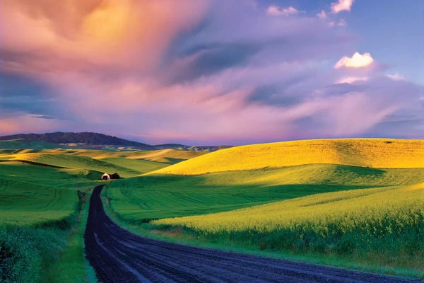 Washington: Palouse Road by Dennis Frates