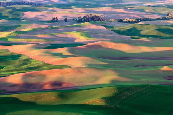 Washington: Palouse Spring by Dennis Frates