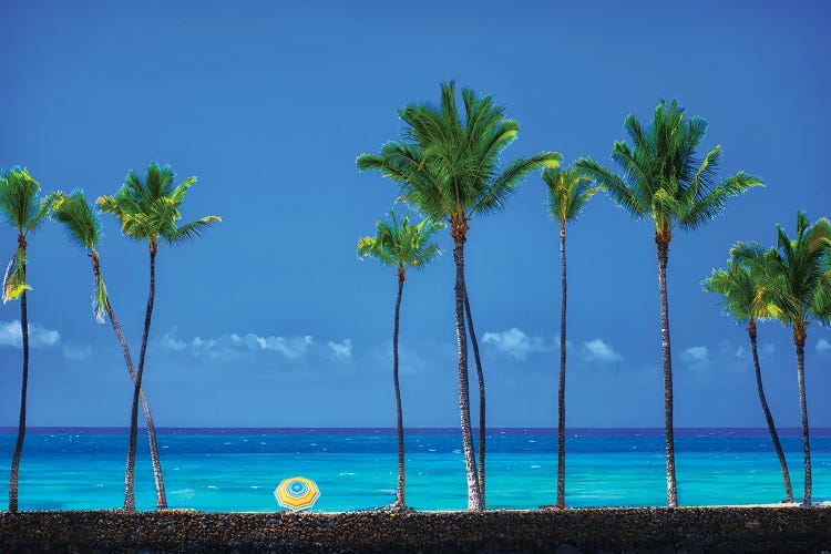Lone Beach Goer II by Dennis Frates wall art
