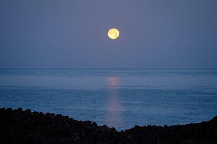 Full Moon Sunset by Dennis Frates wall art