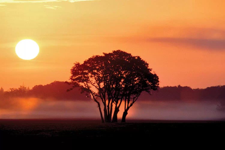 Pasture Sunrise by Dennis Frates wall art
