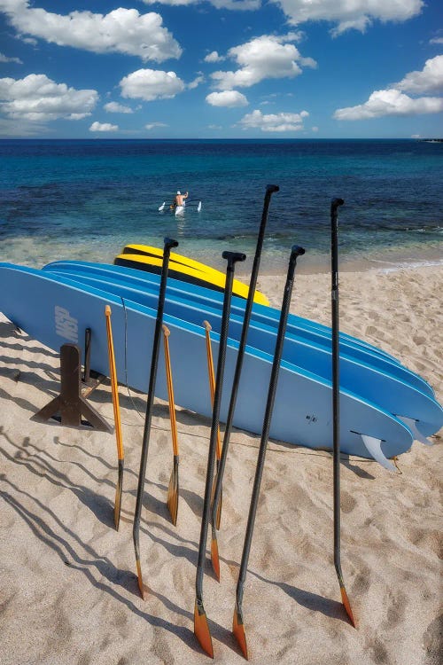 Surf Action by Dennis Frates wall art