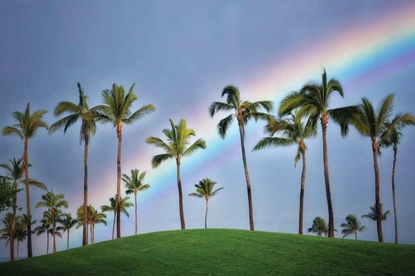 Dennis Frates: Palm Rainbow IV by Dennis Frates