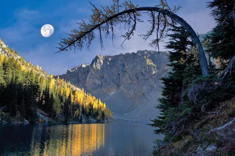 Autumn Moon Reflection by Dennis Frates wall art