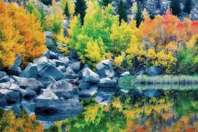 Autumn Reflection I by Dennis Frates canvas print