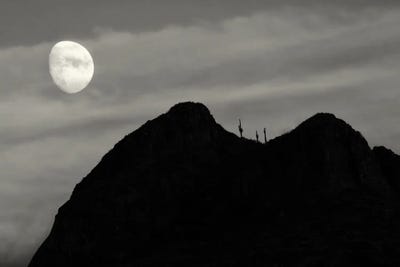Dennis Frates - Framed Fine Art Prints: Moonset Over Saguaro Cactus by Dennis Frates