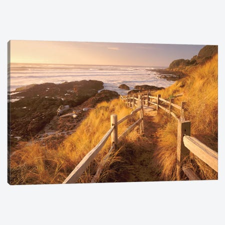 Pathway To The Beach Canvas Print #DEN250} by Dennis Frates Art Print