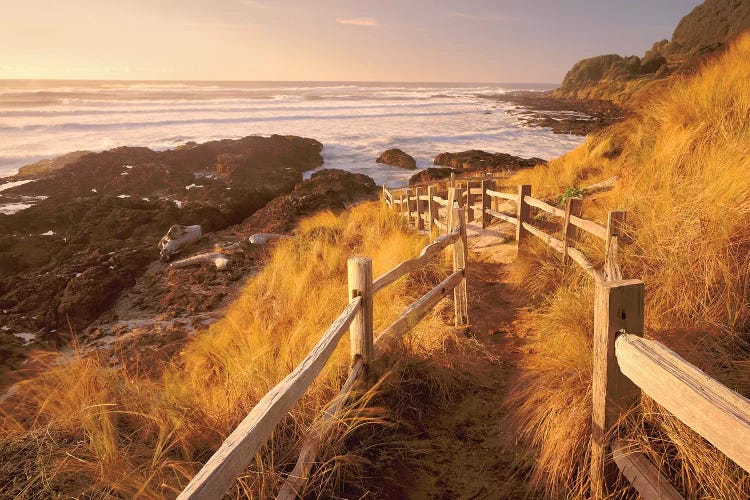 Pathway To The Beach by Dennis Frates wall art