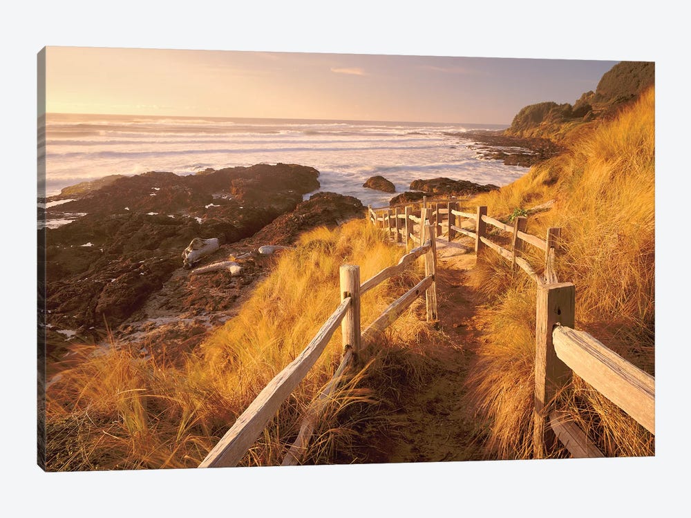 Pathway To The Beach by Dennis Frates 1-piece Canvas Artwork