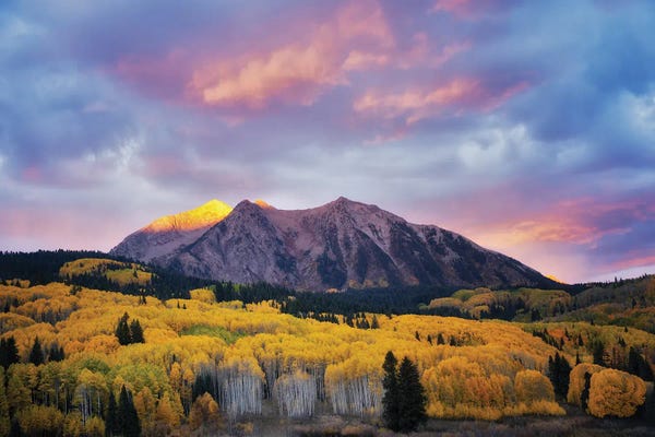Colorado Autumn III