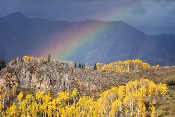 Autumn Rainbow