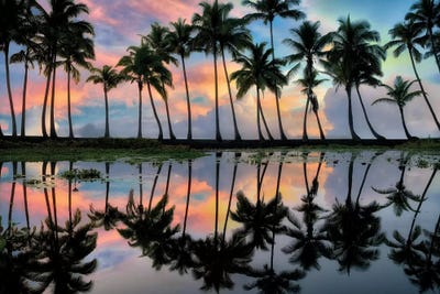 Perfect Reflection by Dennis Frates canvas print