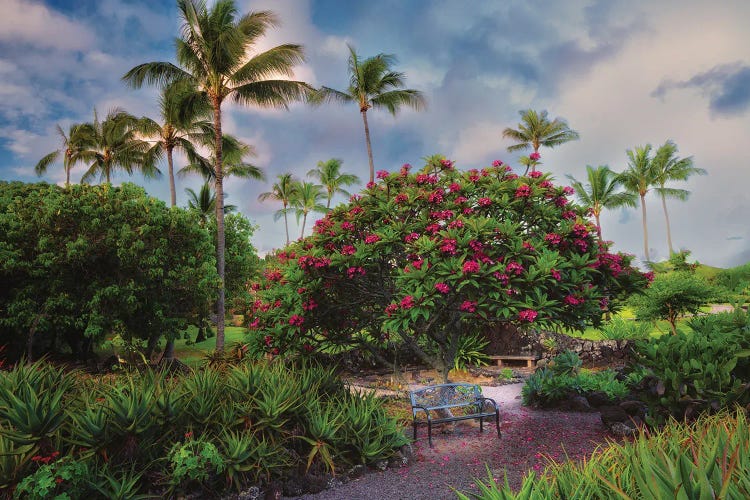 Dennis Frates: Tropical Gardens IV by Dennis Frates
