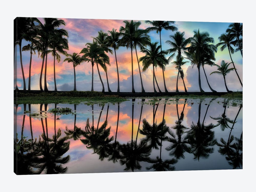 Perfect Reflection by Dennis Frates 1-piece Canvas Art