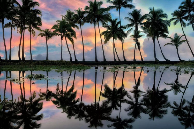 Perfect Reflection by Dennis Frates wall art