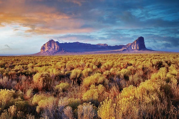 Dennis Frates: Fort Rock With Blooming Rabbit Brush, Oregon by Dennis Frates