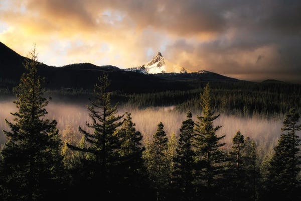 Mt. Washington With Fog