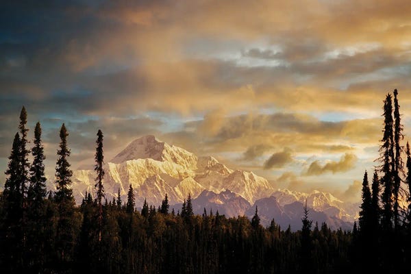 Dennis Frates: Sunrise On Snow Covered Mt. Mckinley, Alaska by Dennis Frates