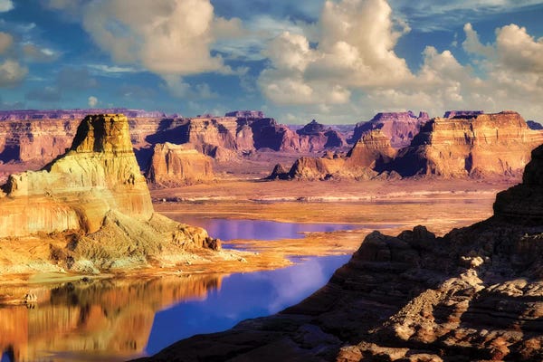 Powel Reflection