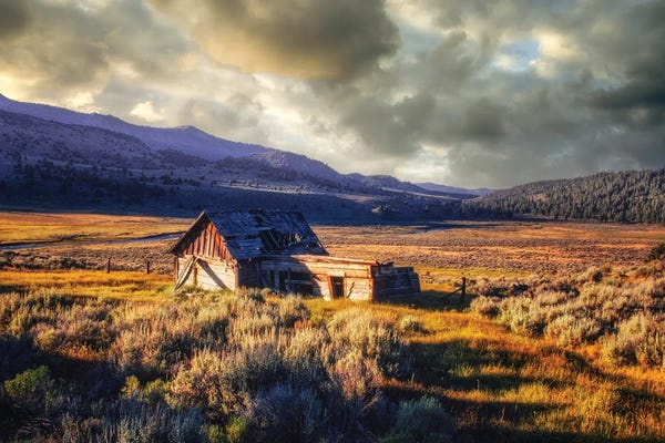 Dennis Frates: Abandoned Cabin by Dennis Frates