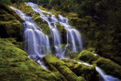 Proxy Falls I by Dennis Frates canvas print
